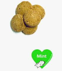 Mint Mini Snack - Limited Stock
